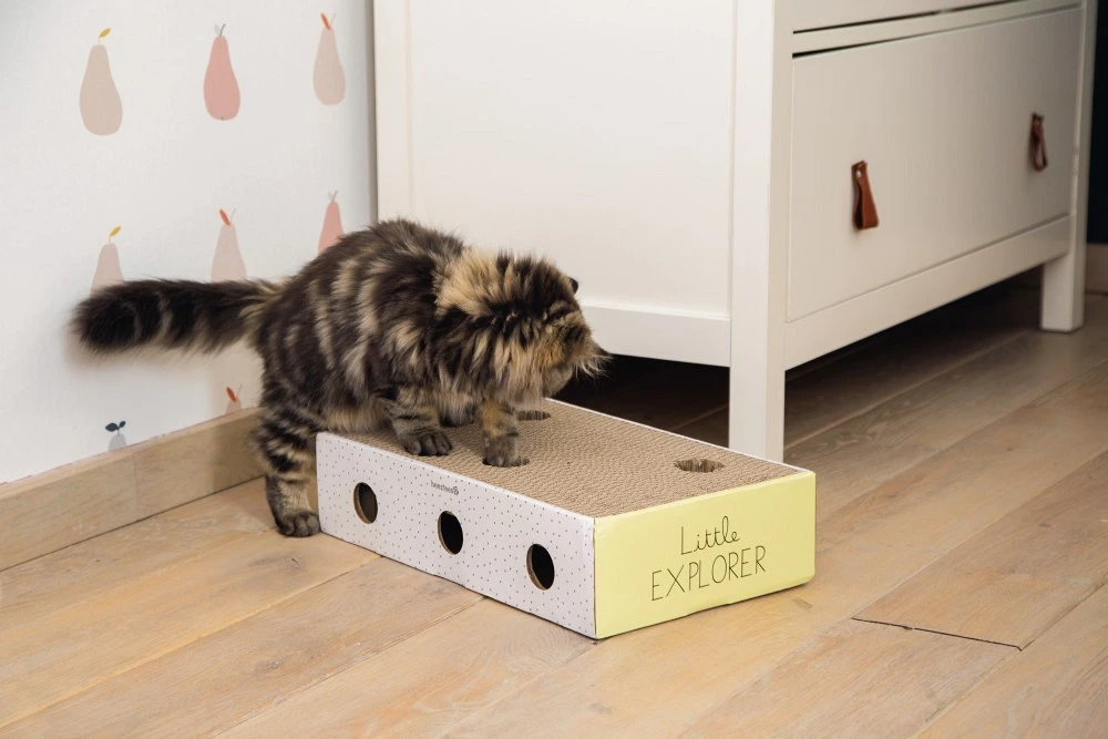 Beeztees Kitten Krabbox Riva 2 Beeztees Kitten Krabbox Riva - Afbeelding 2