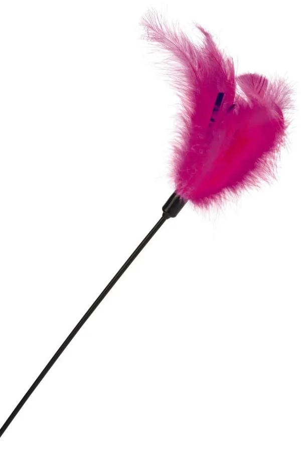 Beeztees Kattentickler Zachte Veren Roze