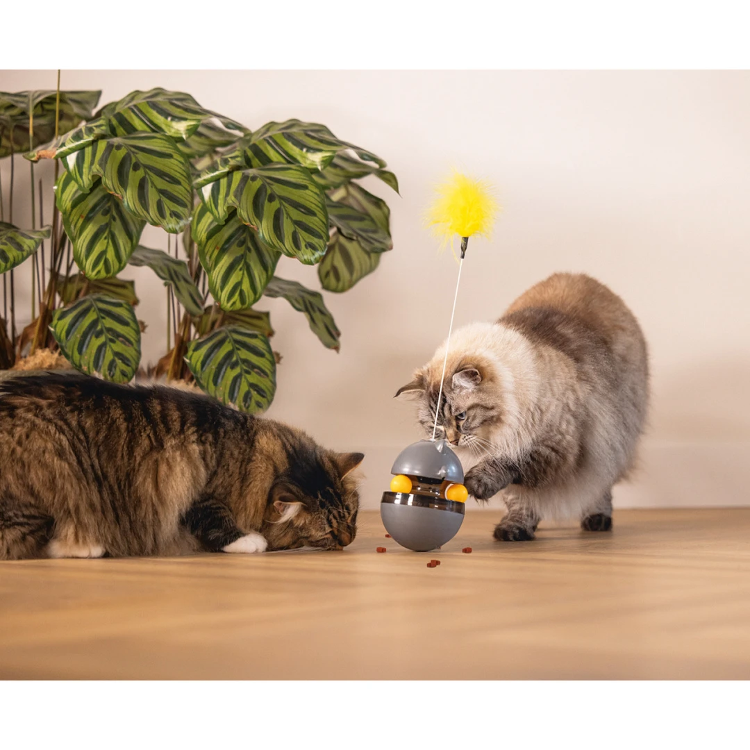 Beeztees Kattenspeelgoed Interactief Wibol 4 Beeztees Kattenspeelgoed Interactief Wibol - Afbeelding 4