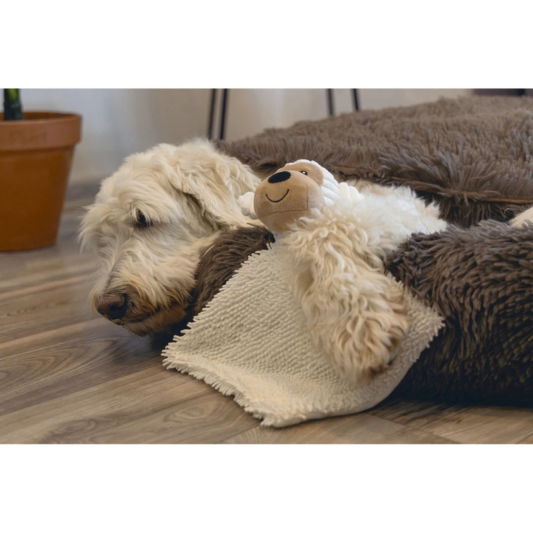 Beeztees Hondenspeelgoed Eco Knuffellap Brono 4 Beeztees Hondenspeelgoed Eco Knuffellap Brono - Afbeelding 4