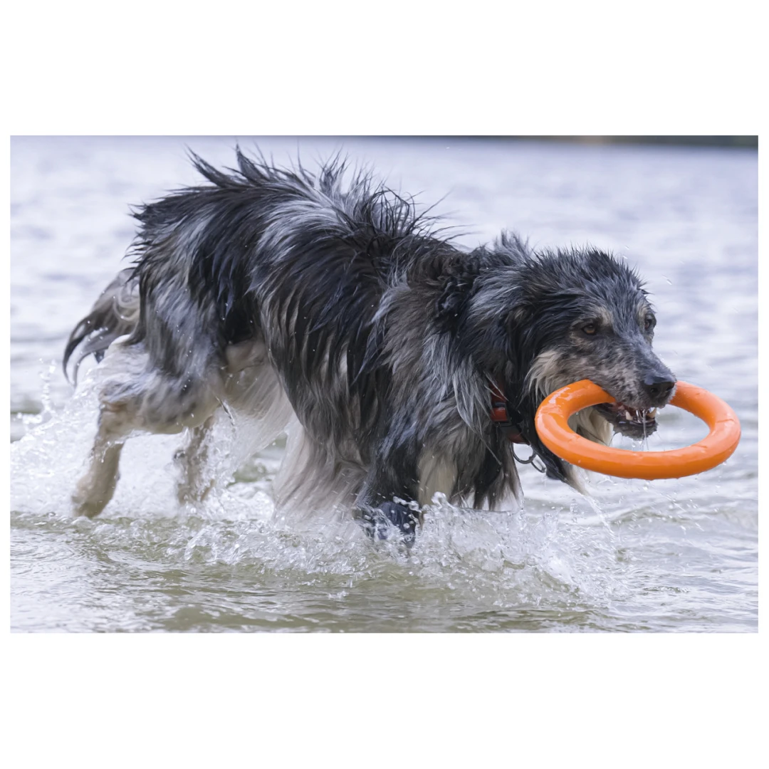 Beeztees Apportino Ring 2 Beeztees Apportino Ring - Afbeelding 2