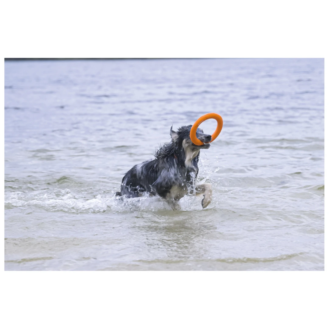 Beeztees Apportino Ring 3 Beeztees Apportino Ring - Afbeelding 3