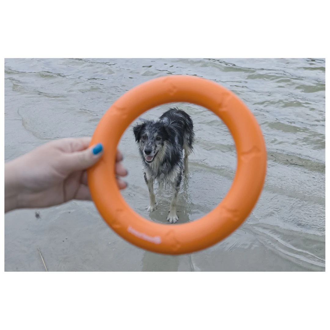 Beeztees Apportino Ring 4 Beeztees Apportino Ring - Afbeelding 4