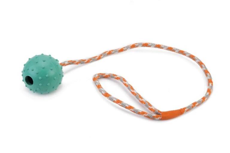 Beeztees Speelbal Met Bel Aan Koord Mint