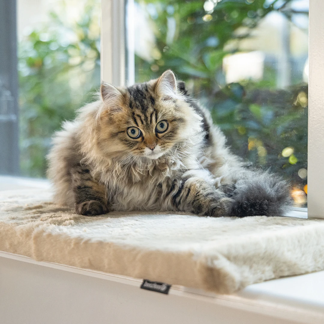 Beeztees Vensterbankmat Moza Beige 4 Beeztees Vensterbankmat Moza Beige - Afbeelding 4