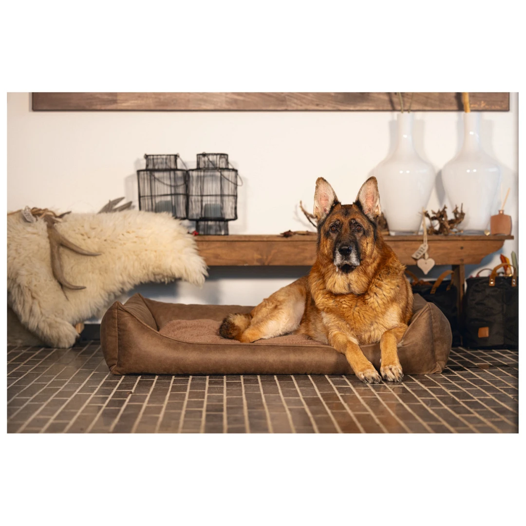 Beeztees Orthopedische Hondenmand Uma Bruin 15 Beeztees Orthopedische Hondenmand Uma Bruin - Afbeelding 15