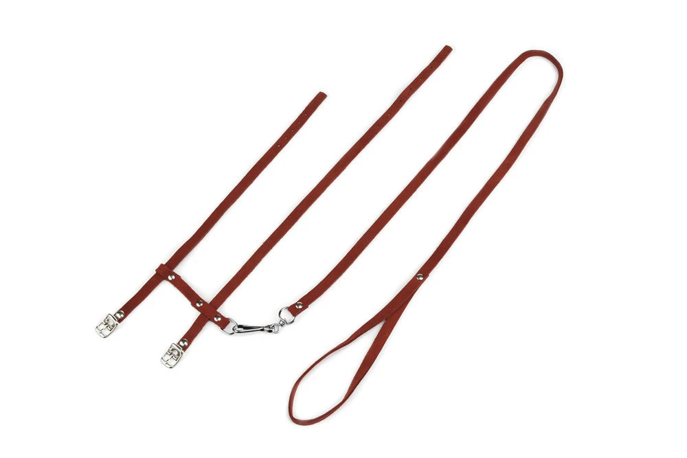 Beeztees Kattentuig Met Lijn Suède 1 Beeztees Kattentuig Met Lijn Suède