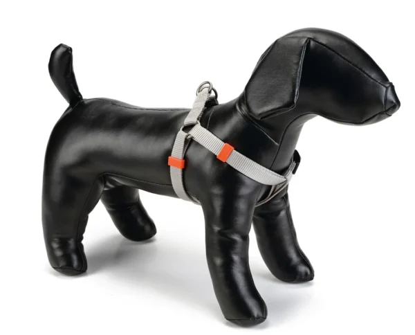 Beeztees Borsttuig Uni Lichtgrijs