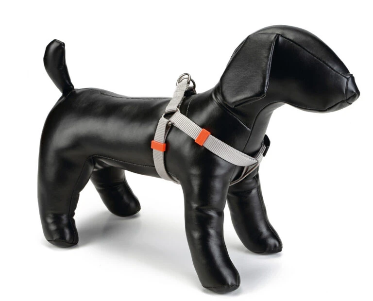 Beeztees Borsttuig Uni Lichtgrijs