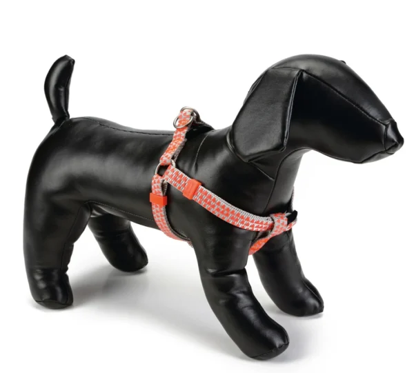 Beeztees Borsttuig Triangle Lichtgrijs