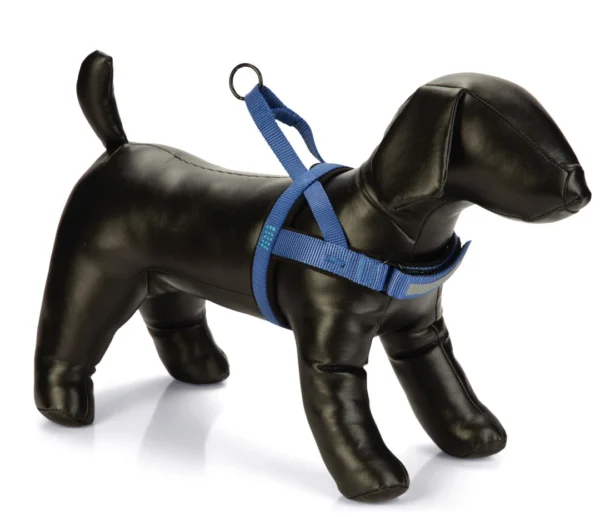 Beeztees Borsttuig Parinca Blauw