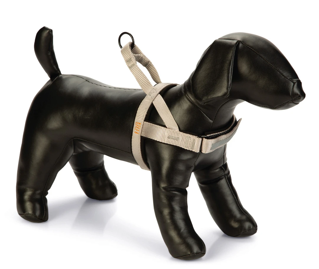 Beeztees Borsttuig Parinca Lichtgrijs 1 Beeztees Borsttuig Parinca Lichtgrijs