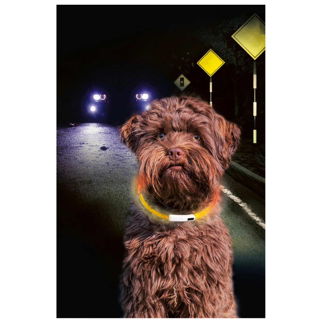 Beeztees Veiligheidshalsband Dogini Multi 65 Cm X 10 Mm 3 Beeztees Veiligheidshalsband Dogini Multi 65 Cm X 10 Mm - Afbeelding 3