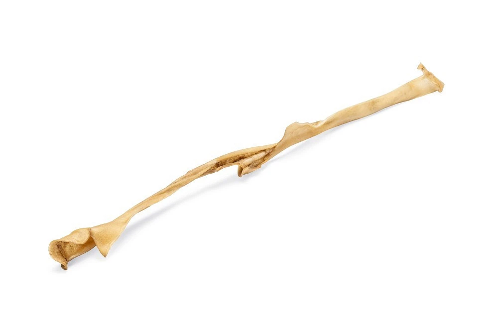 Beeztees Runderkophuid Voordeel 10 St 2 Beeztees Runderkophuid Voordeel 10 St - Afbeelding 2