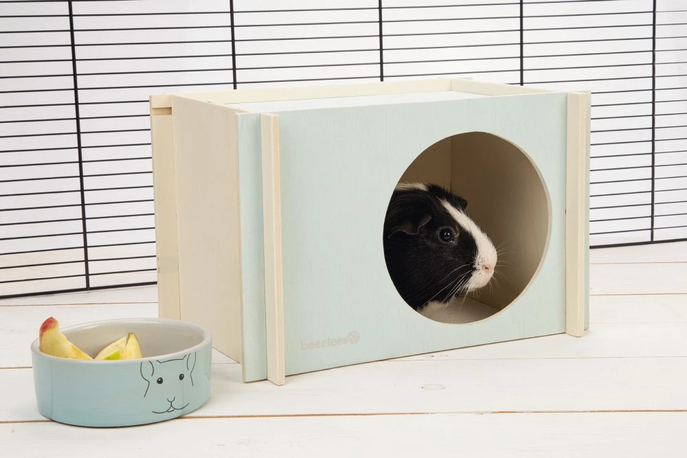 Beeztees Knaagdierhuis Bildup Mint 4 Beeztees Knaagdierhuis Bildup Mint - Afbeelding 4