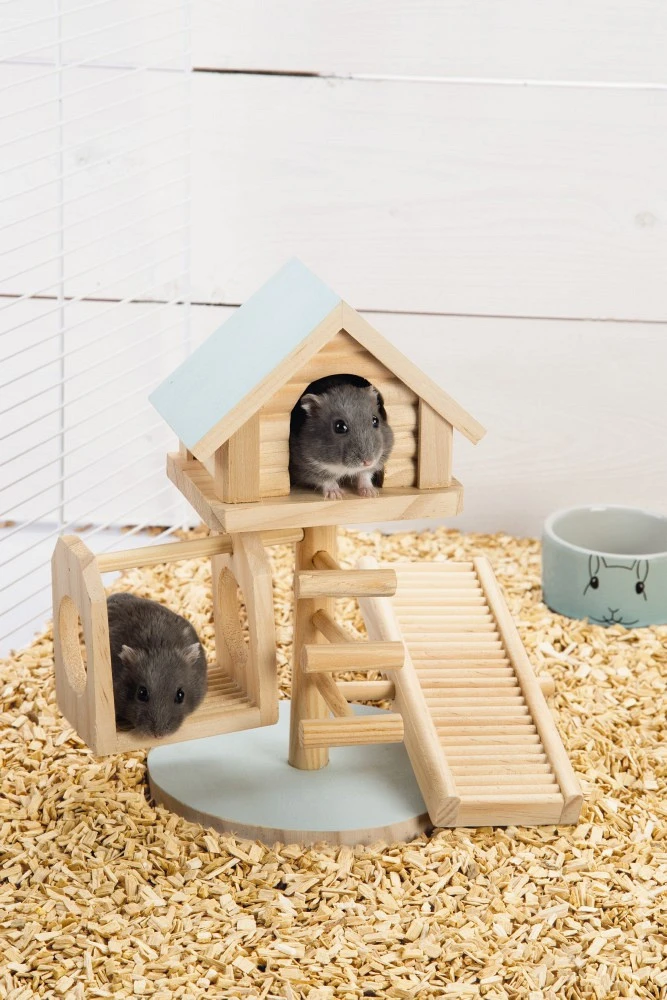 Beeztees Speelhuis Lovy Mint 2 Beeztees Speelhuis Lovy Mint - Afbeelding 2