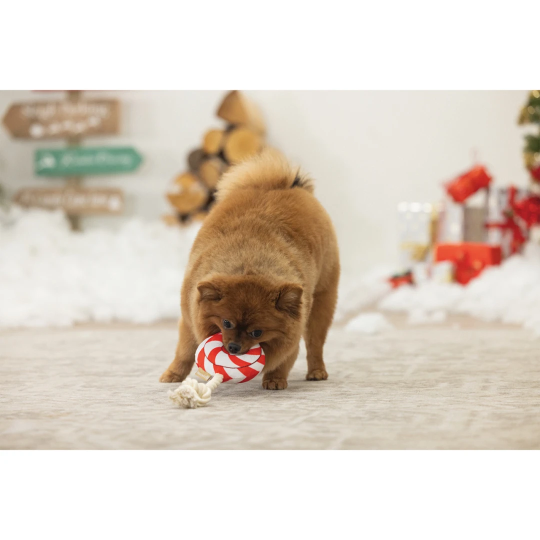 Beeztees Hondenspeelgoed Kerst Lolly 3 Beeztees Hondenspeelgoed Kerst Lolly - Afbeelding 3
