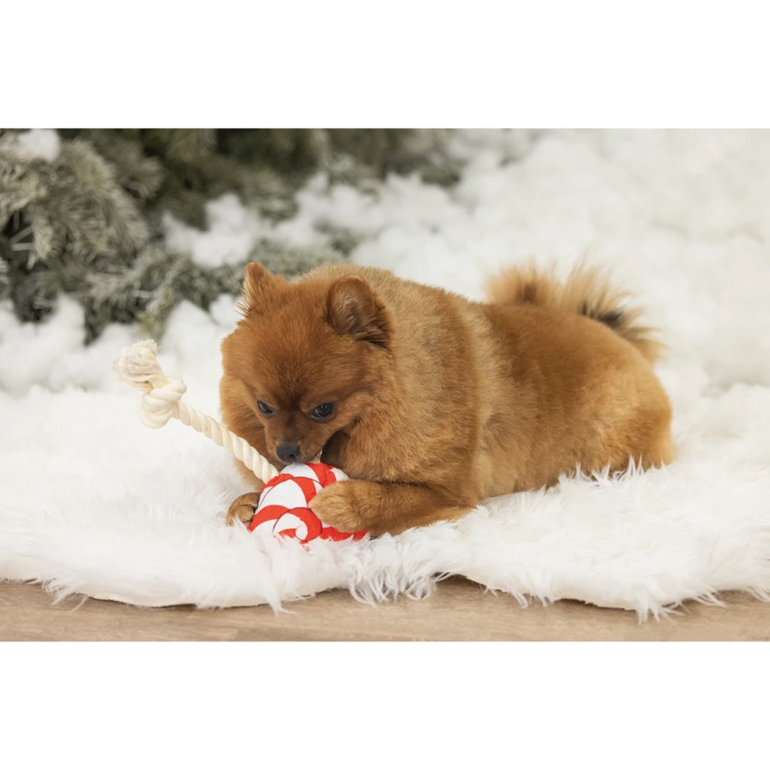 Beeztees Hondenspeelgoed Kerst Lolly 4 Beeztees Hondenspeelgoed Kerst Lolly - Afbeelding 4