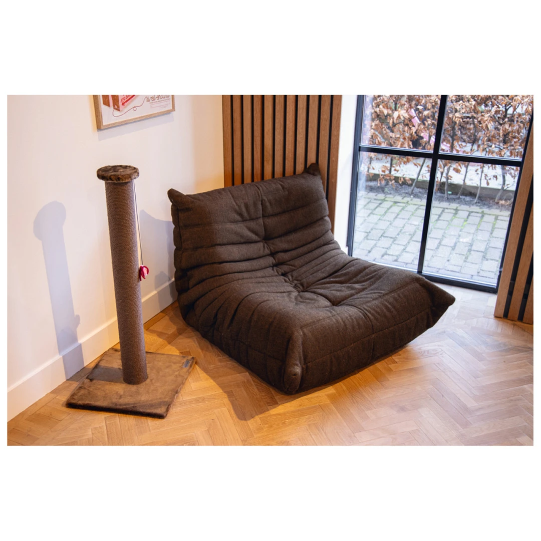 Beeztees Krabpaal Bruno Bruin 2 Beeztees Krabpaal Bruno Bruin - Afbeelding 2