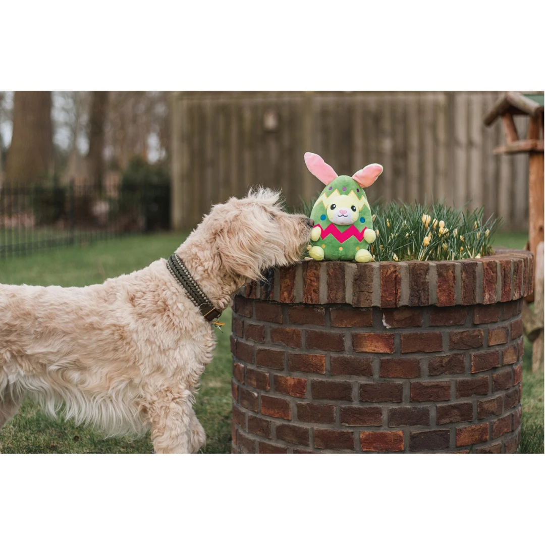 Beeztees Hondenspeelgoed Konijnenei Titi 2 Beeztees Hondenspeelgoed Konijnenei Titi - Afbeelding 2