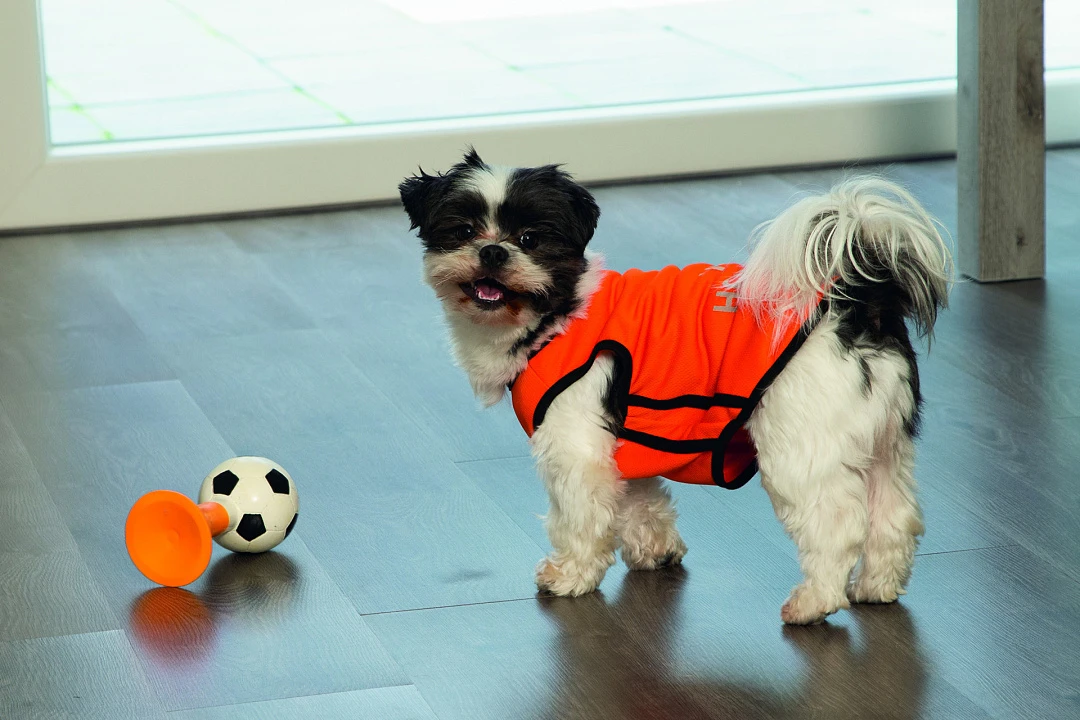 Beeztees Hup Holland Shirt Oranje 3 Beeztees Hup Holland Shirt Oranje - Afbeelding 3