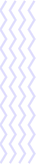 De 4 Essentials voor Elke Hond en Kat -Pet Huisje Winkel b0c0e54a elements