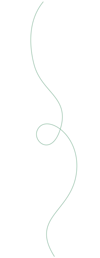 De 4 Essentials voor Elke Hond en Kat -Pet Huisje Winkel shape 2